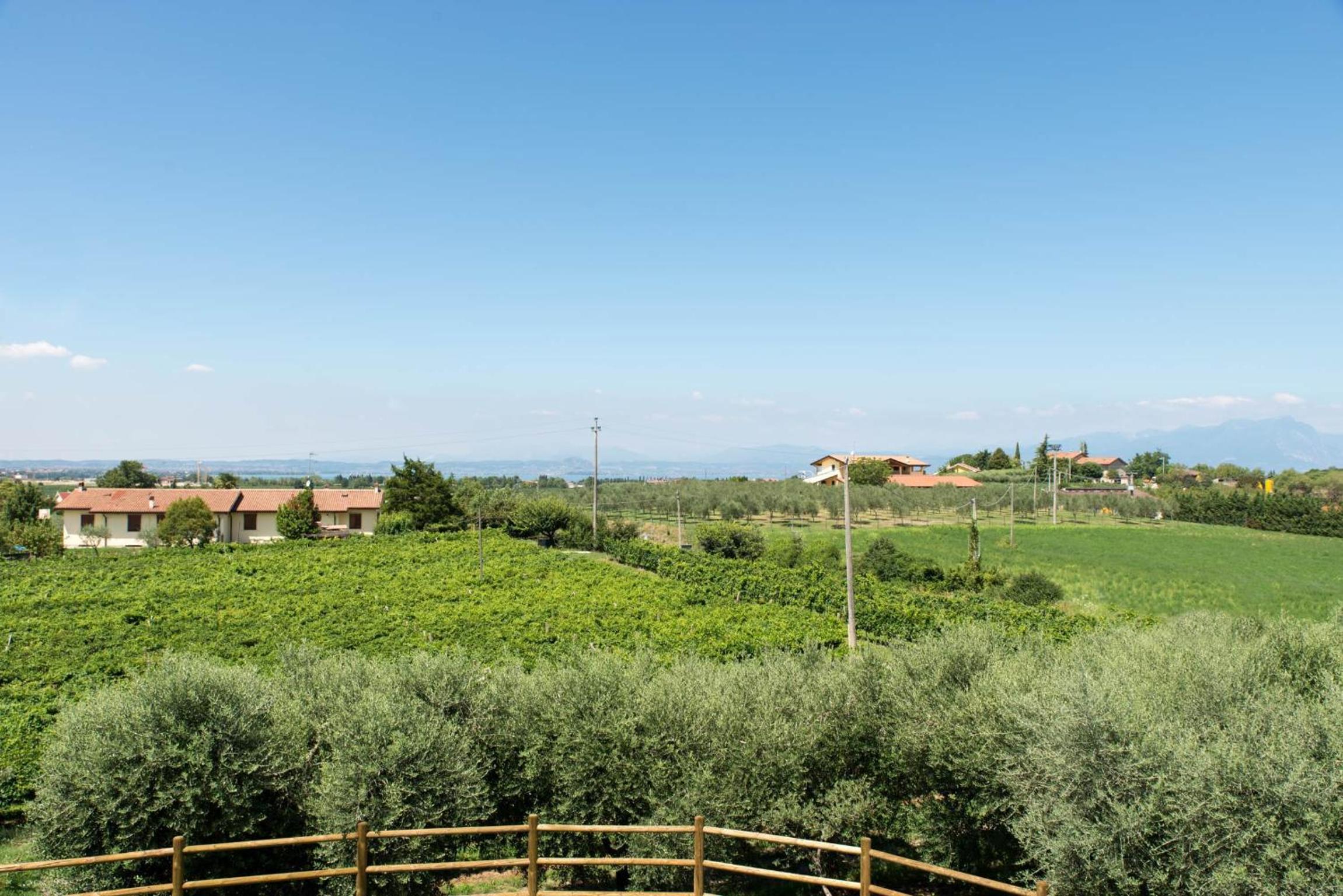Affittacamere La Palazzina view 4