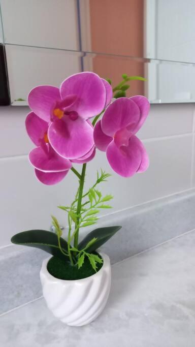 Martim de Sá apartamento completo com piscina