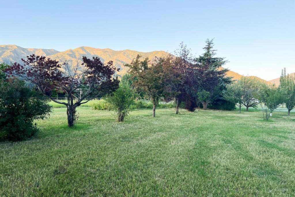 Country House view 3