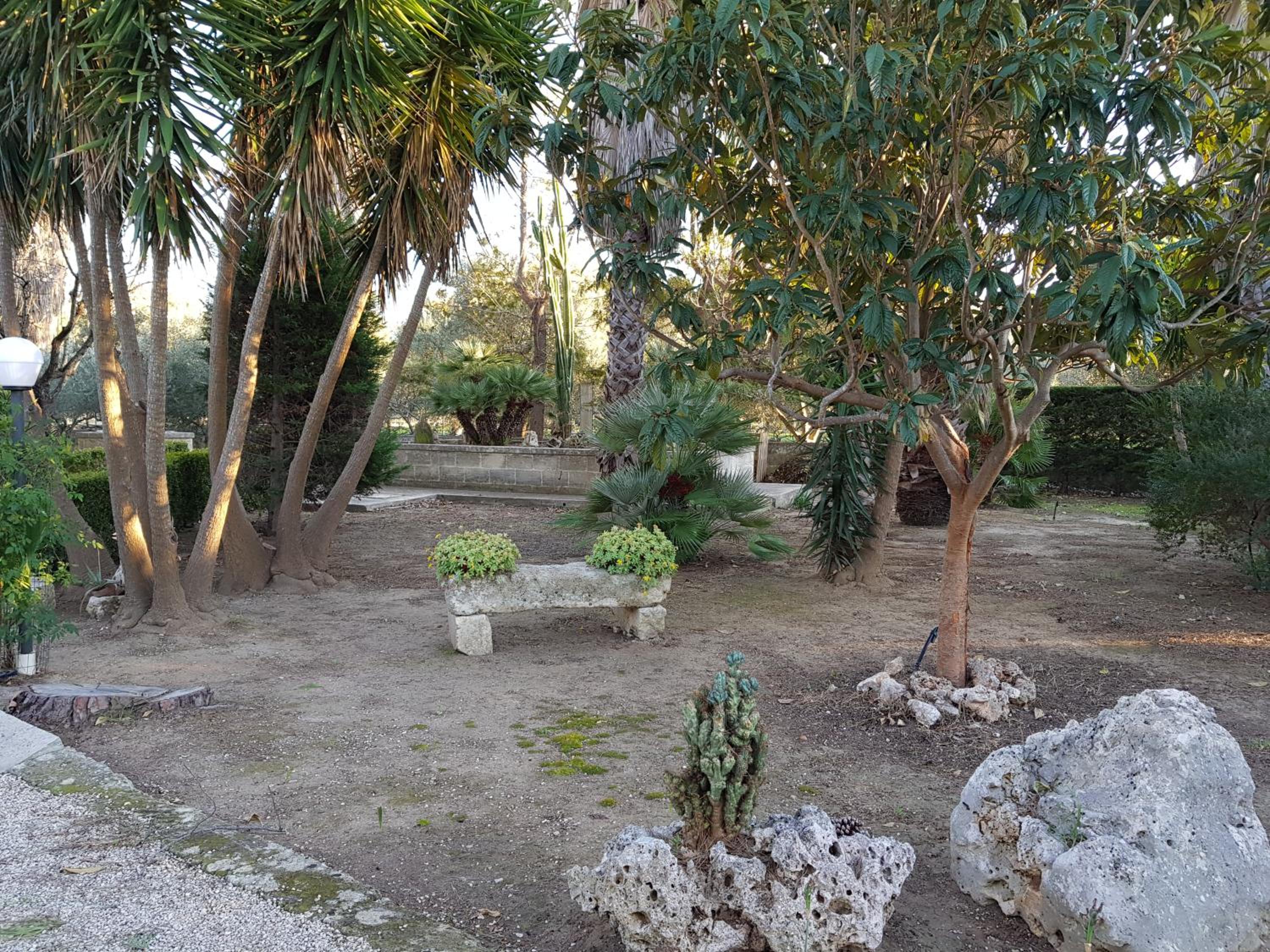Photo 47