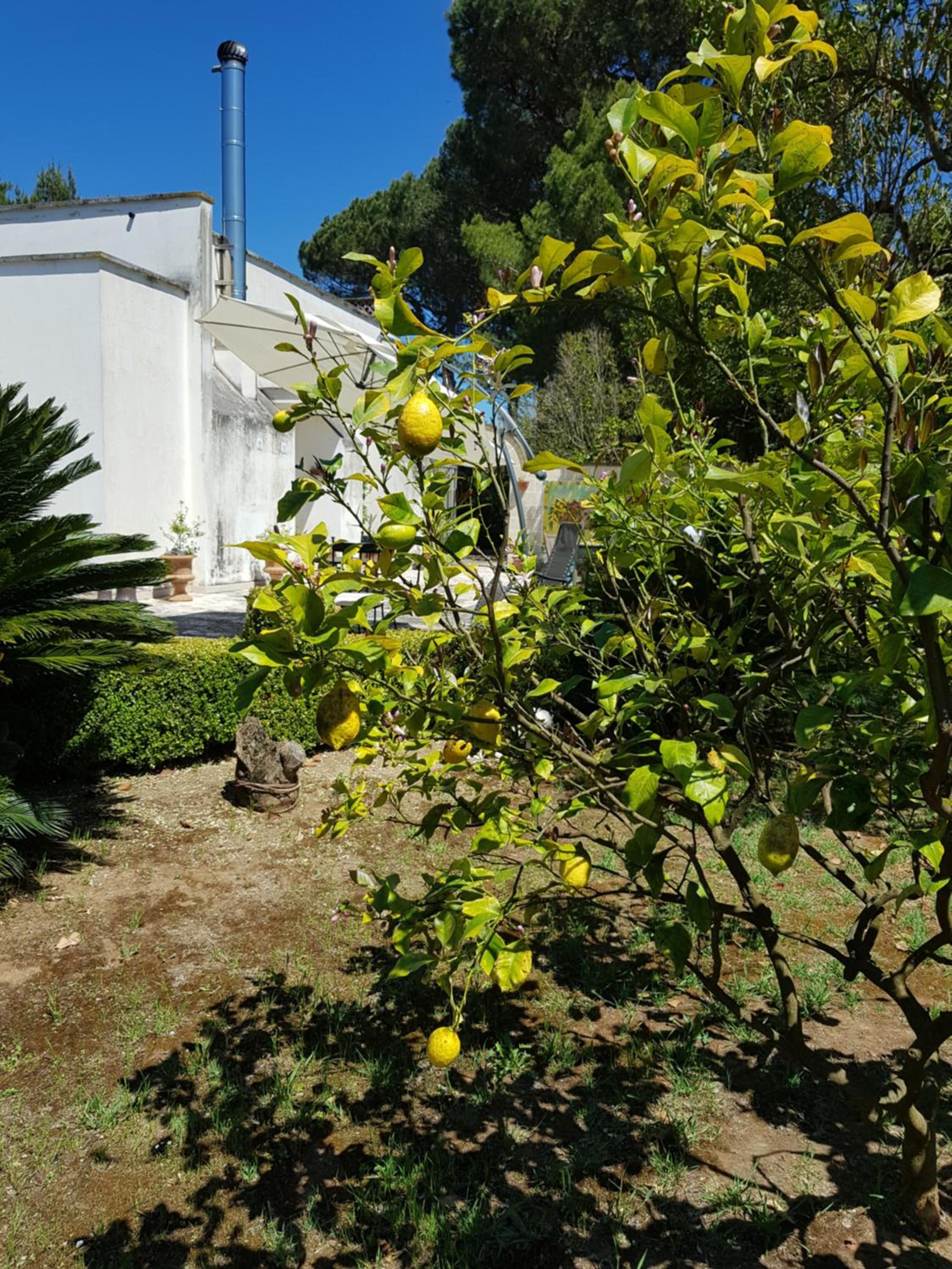 Photo 65