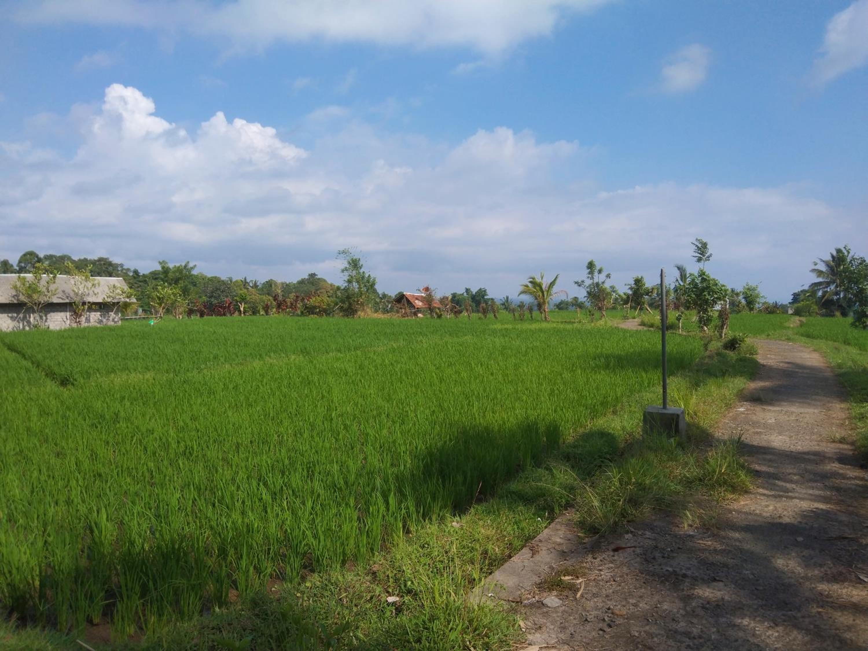 Trinadhi Homestay