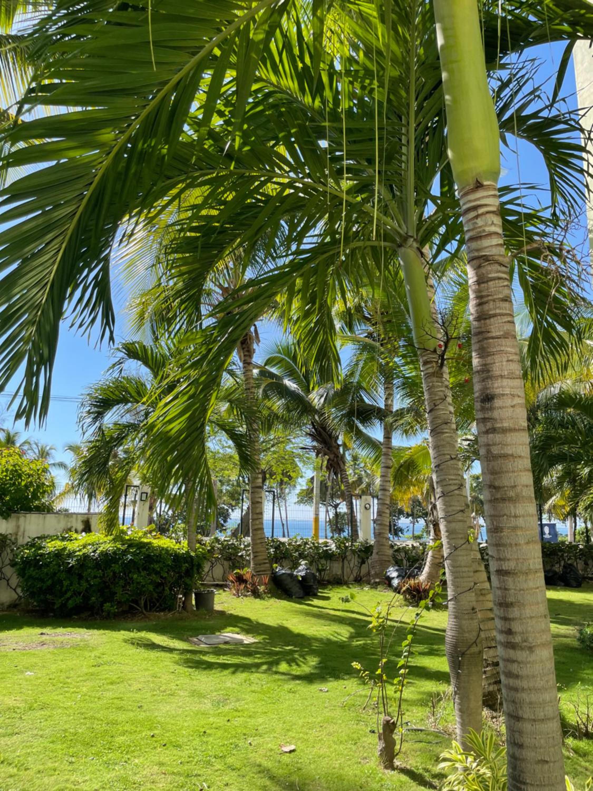 Apartamento frente al Mar