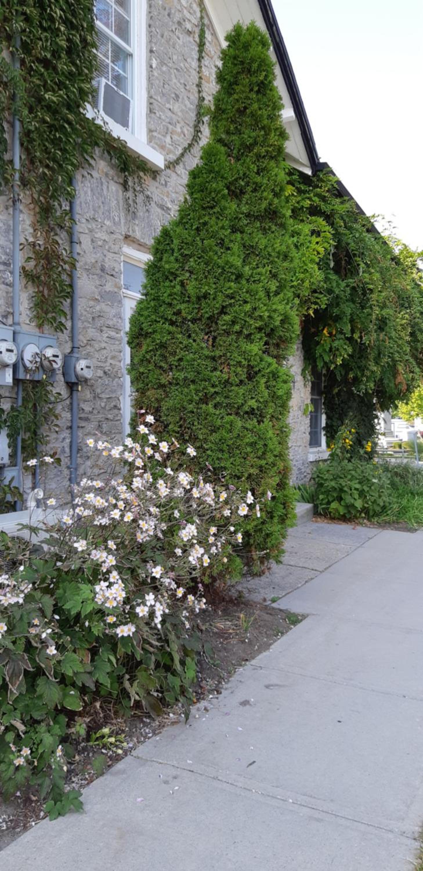 Stone Carriage House