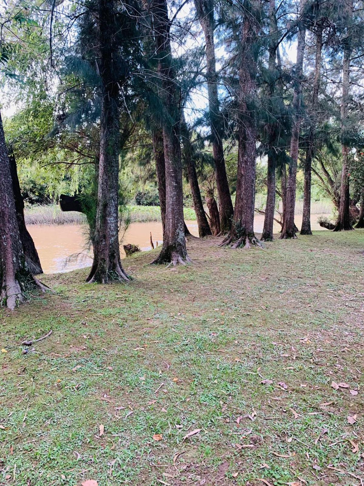 Cabañas El Tercer Ojo Tigre