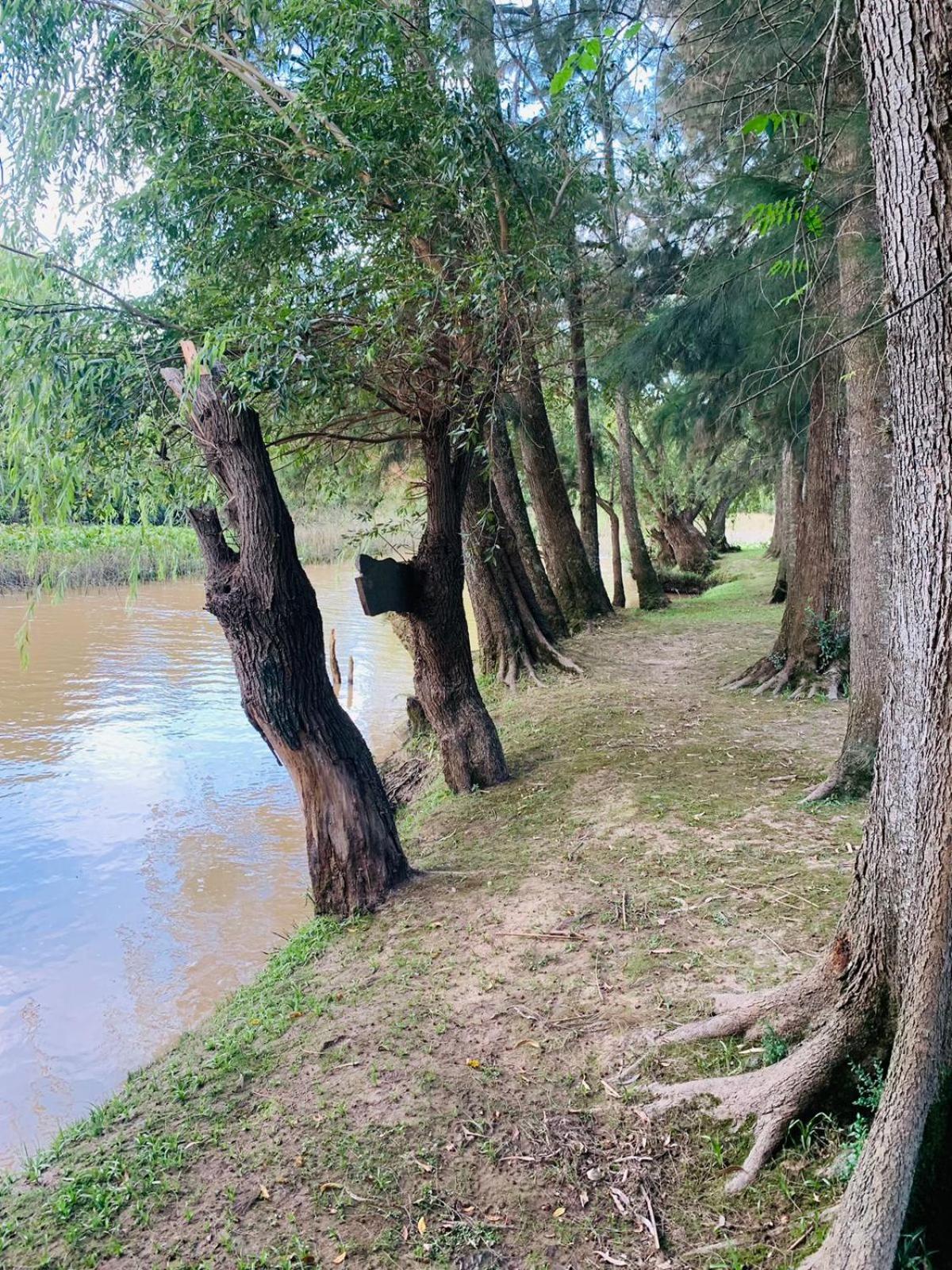 Cabañas El Tercer Ojo Tigre