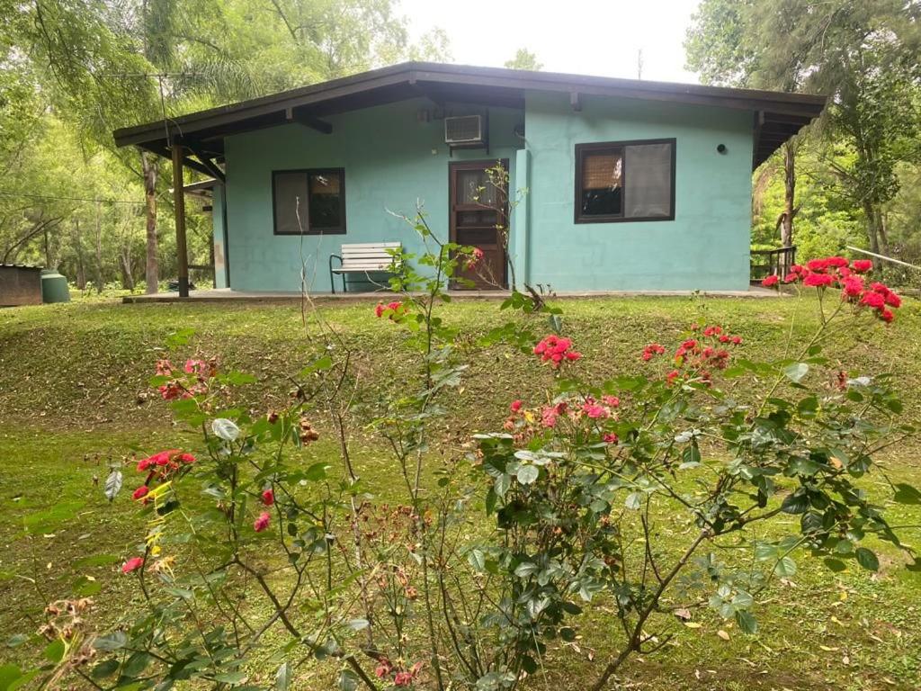 Cabañas El Tercer Ojo Tigre