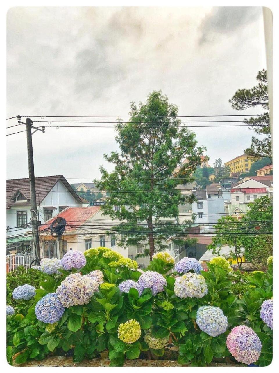 Biệt thự trắng Đà Lạt view 5