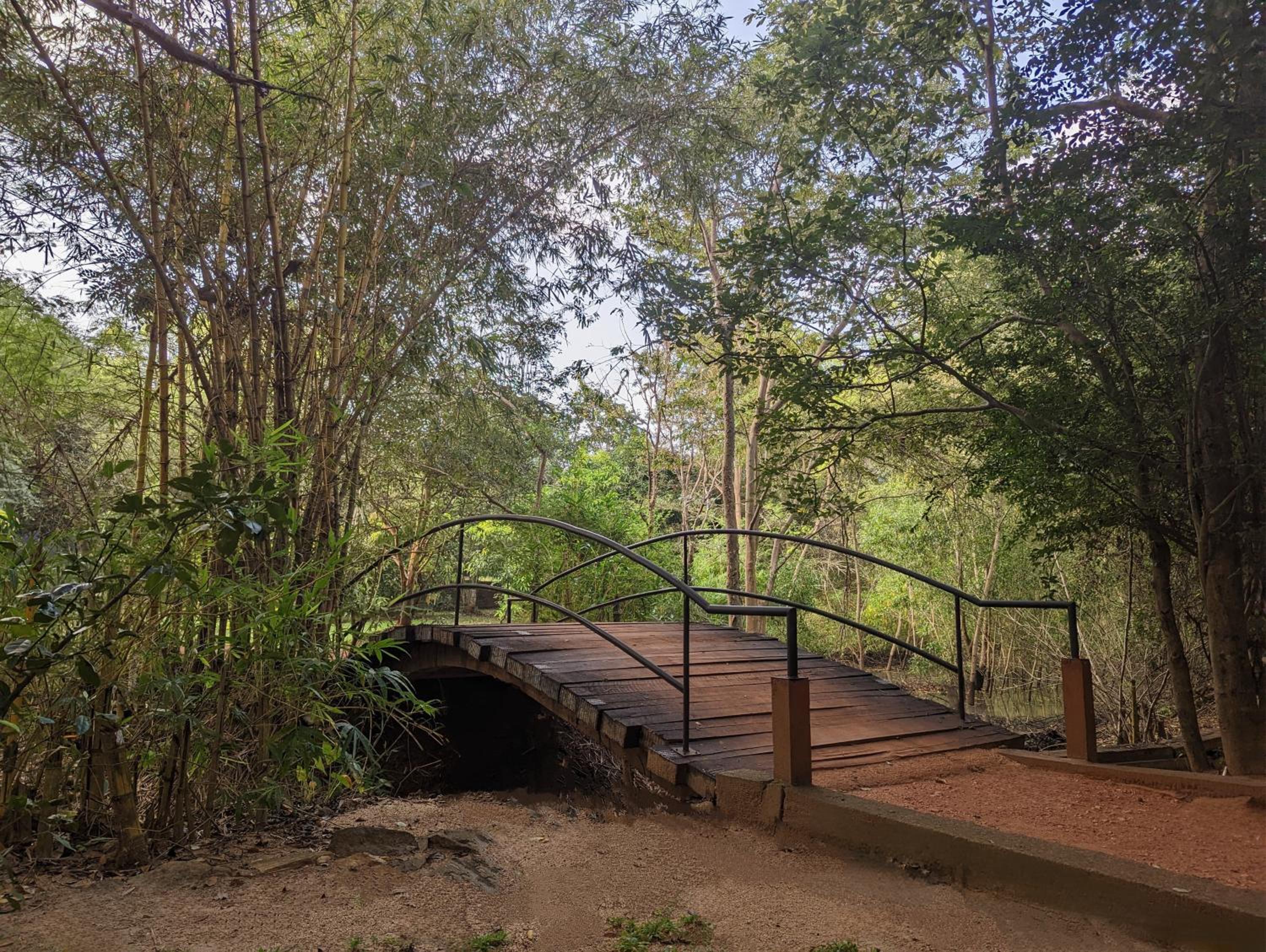 Pinthaliya Resort