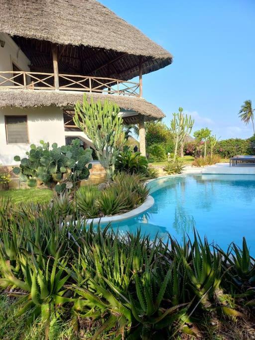 Villa on the Sand view 4