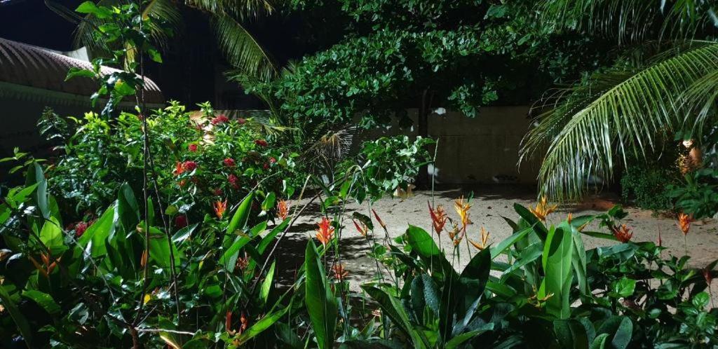 Lush Garden Villa with Sand Garden photo 4