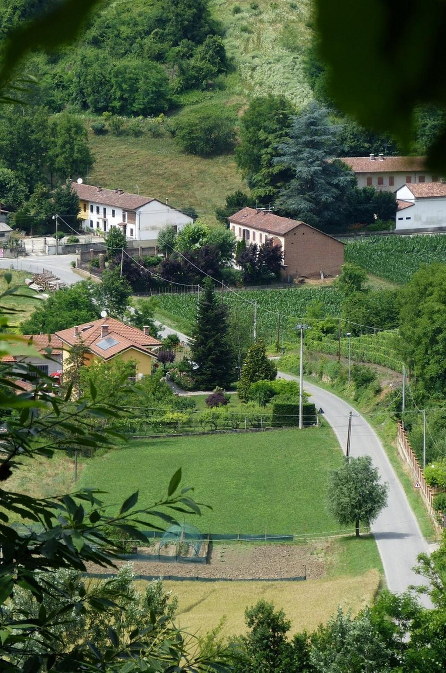 Photo 16