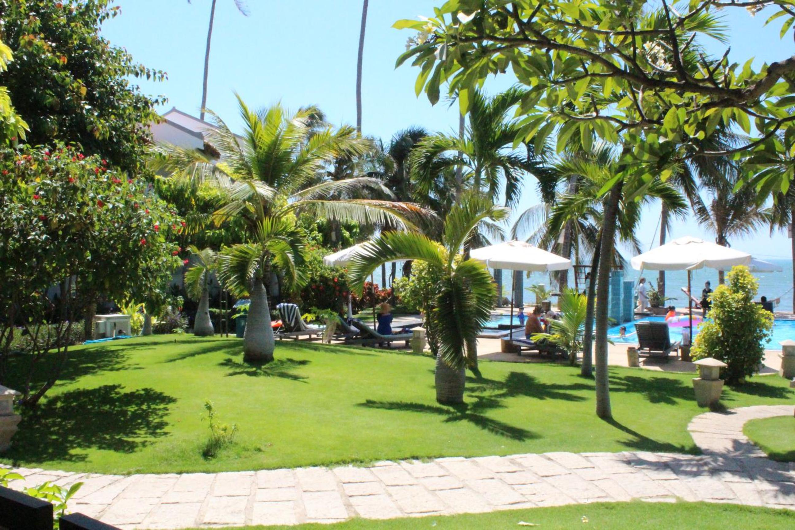Photo 226