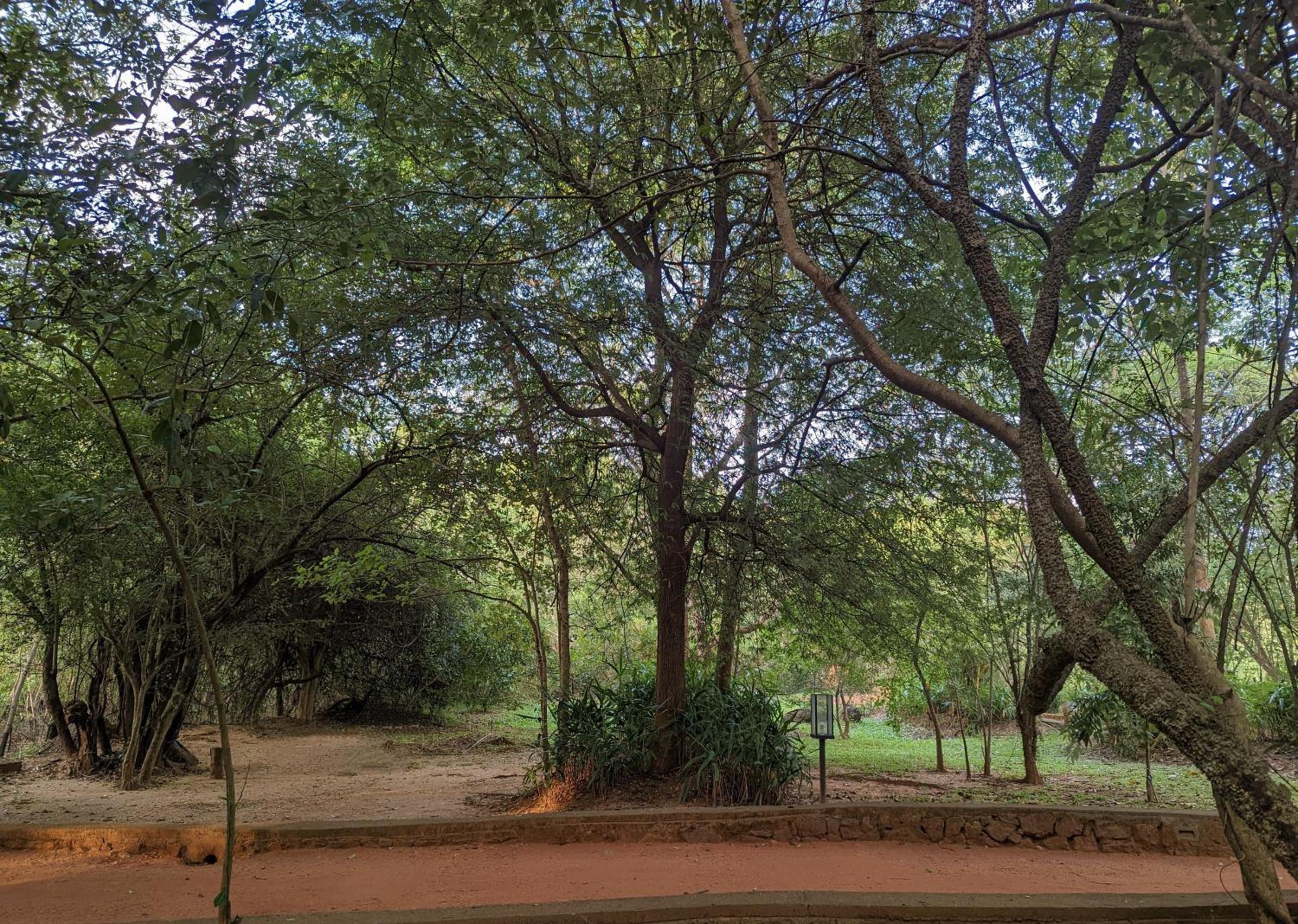 Pinthaliya Resort