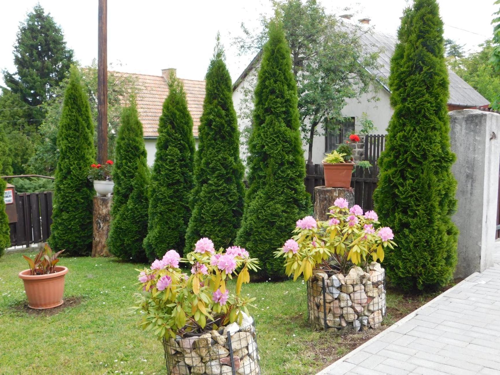 Photo 27