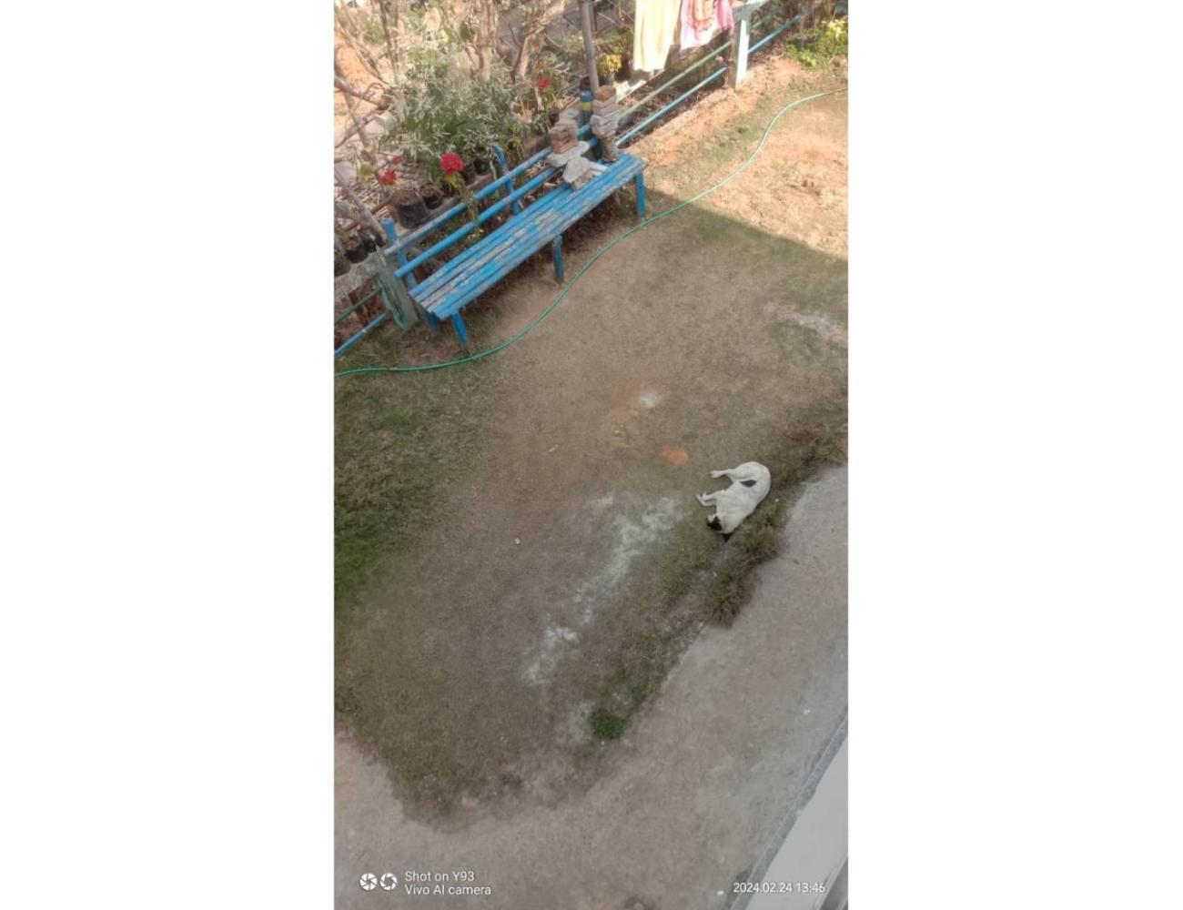 Photo 13