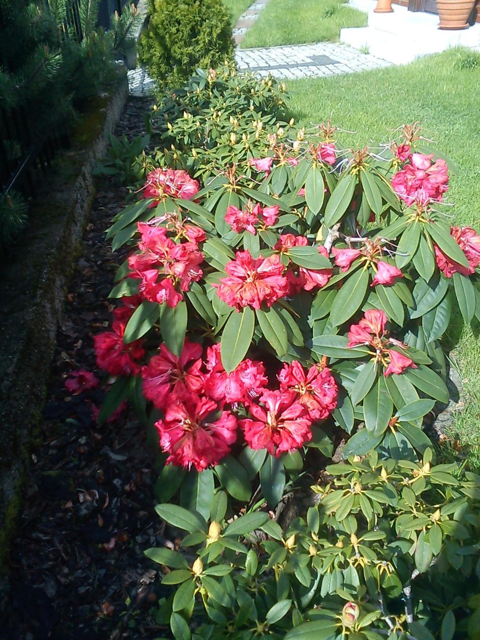 Photo 44
