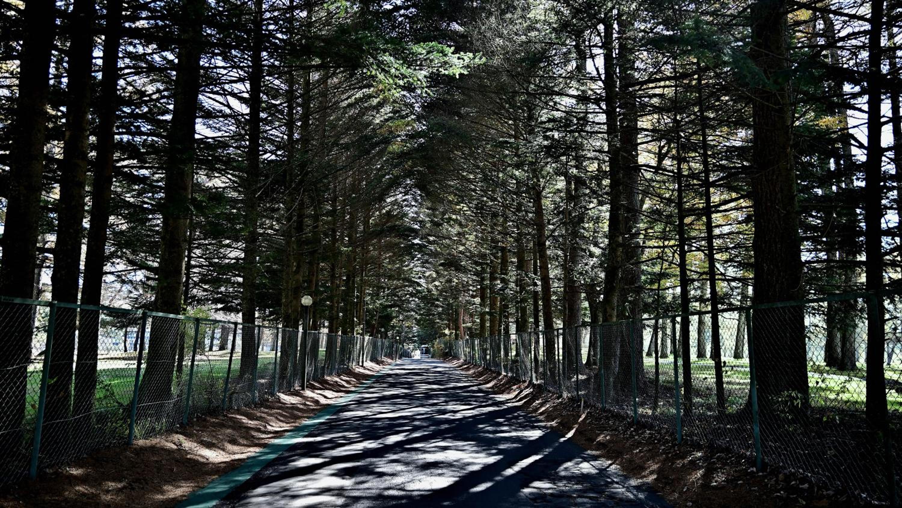 The FOREST Retreat Karuizawa