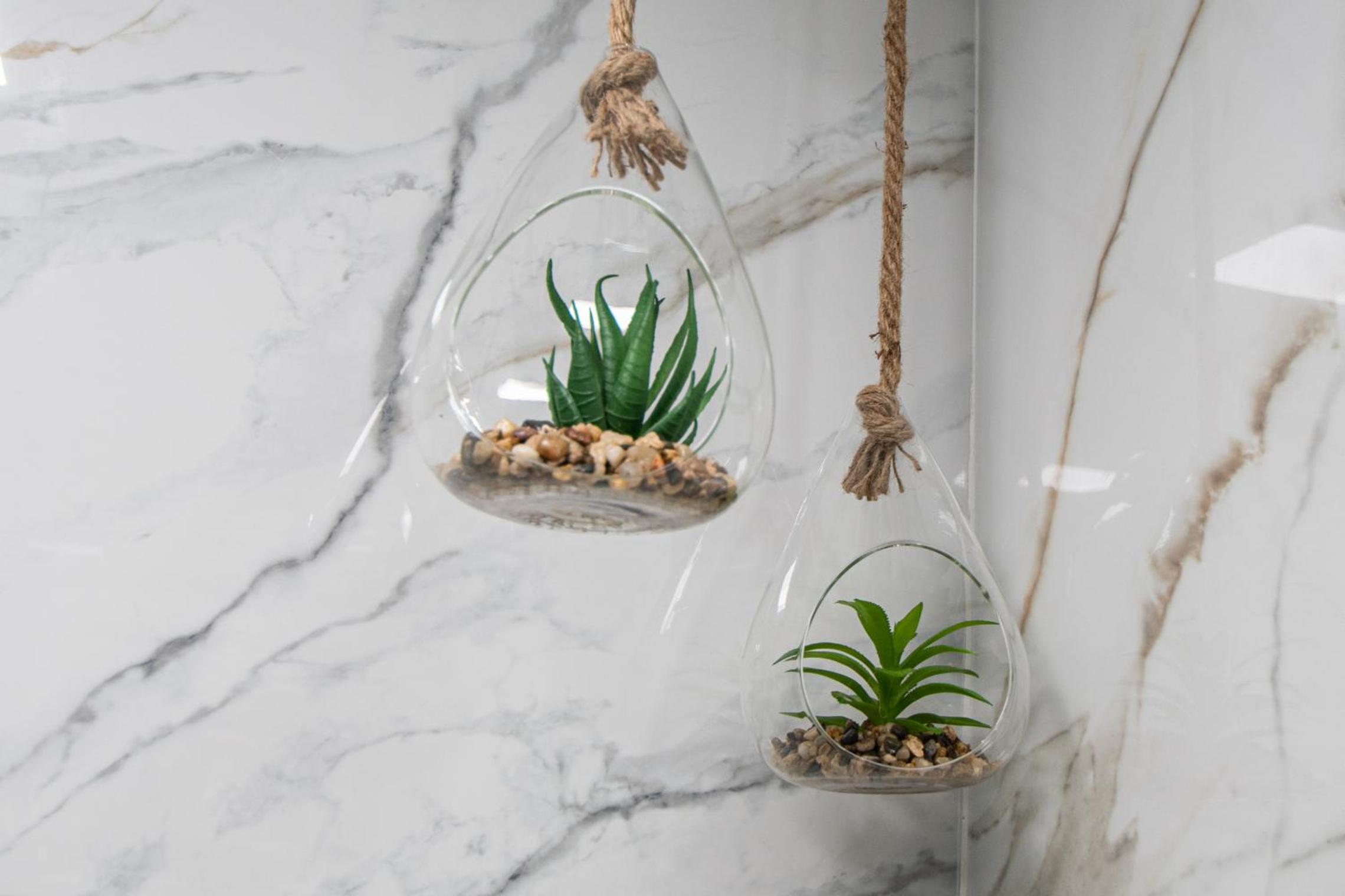 Apartamento Arco de los Blanco