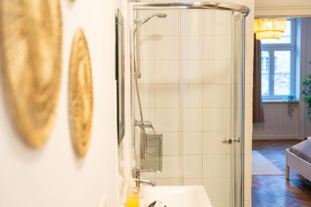 Vienna City Apartment Traisengasse
