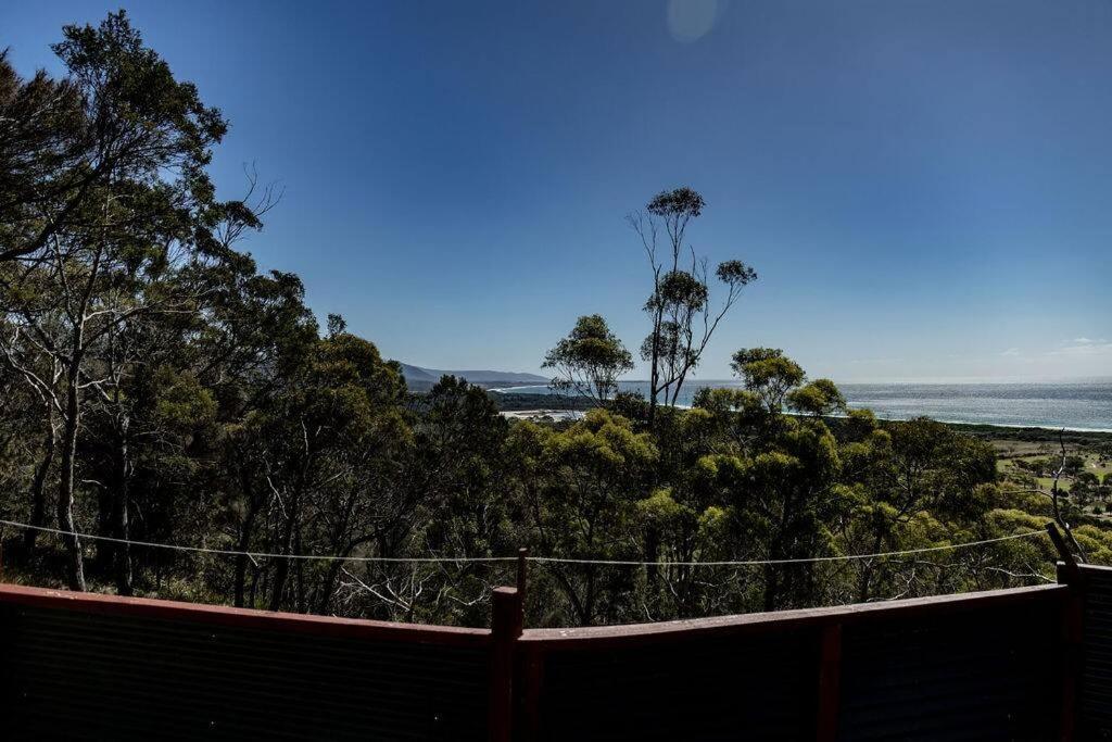 Sunrise Place - Above the Trees