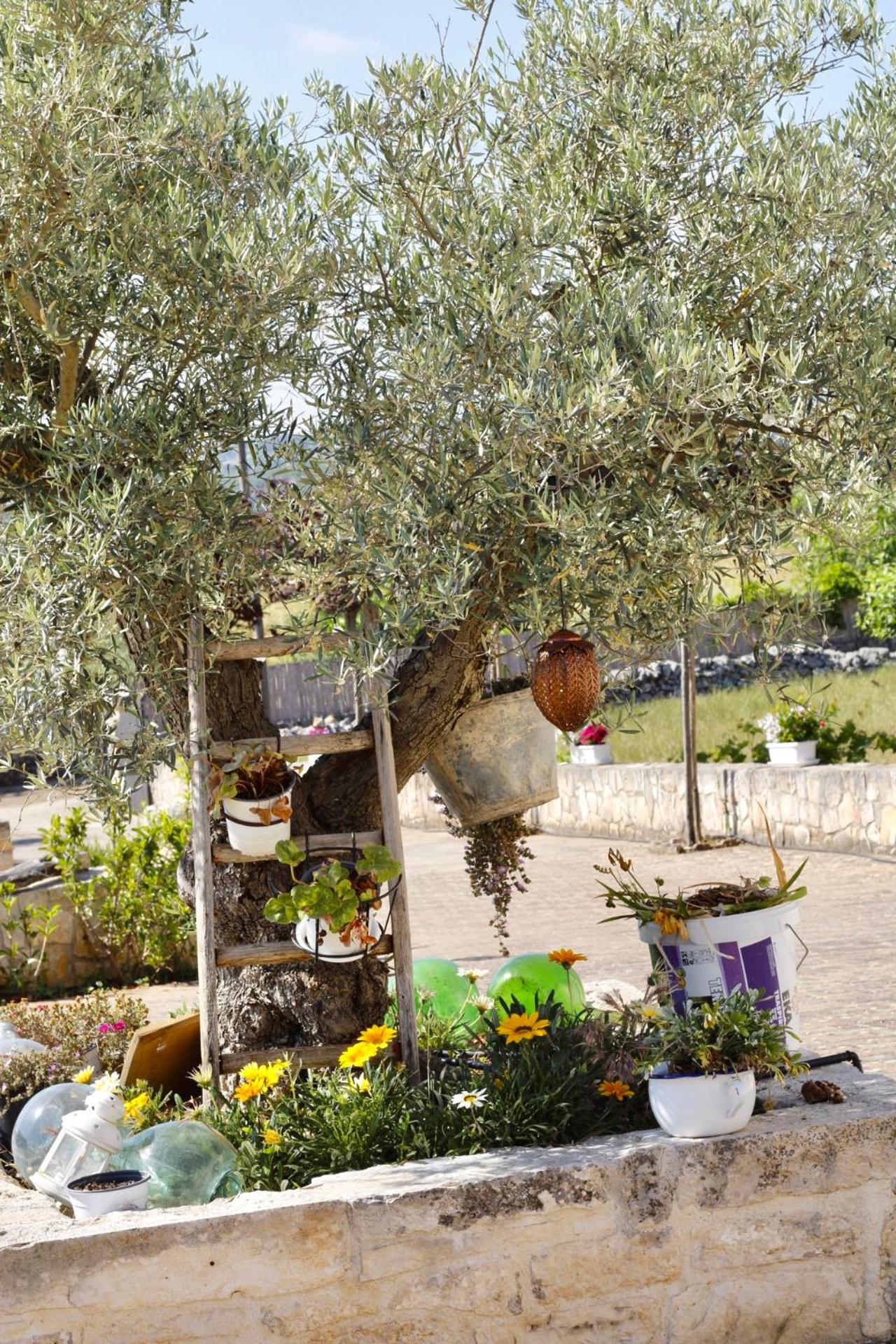 Photo 26