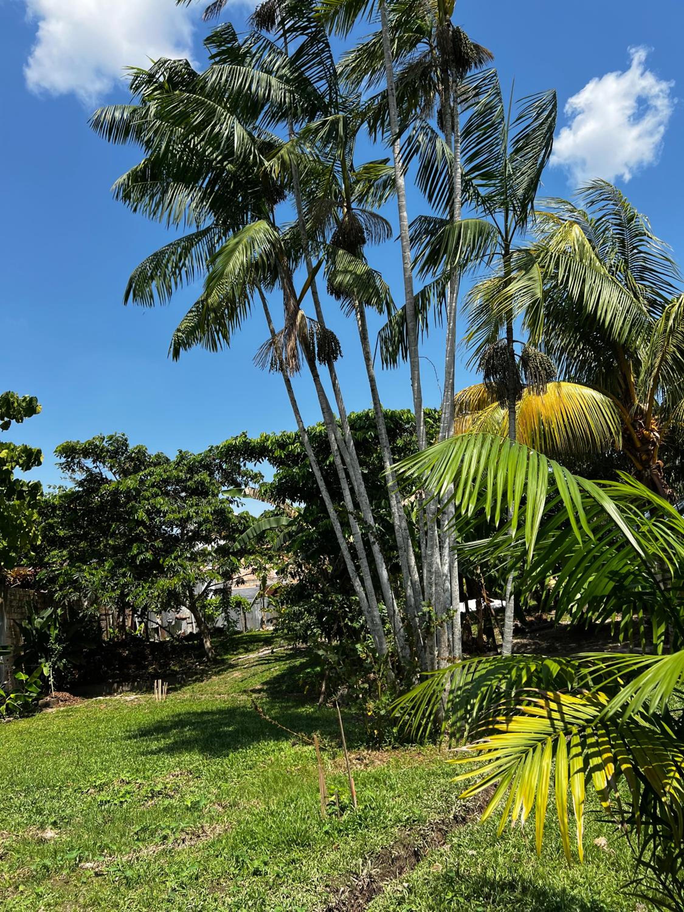 Otorongo Guest House view 3
