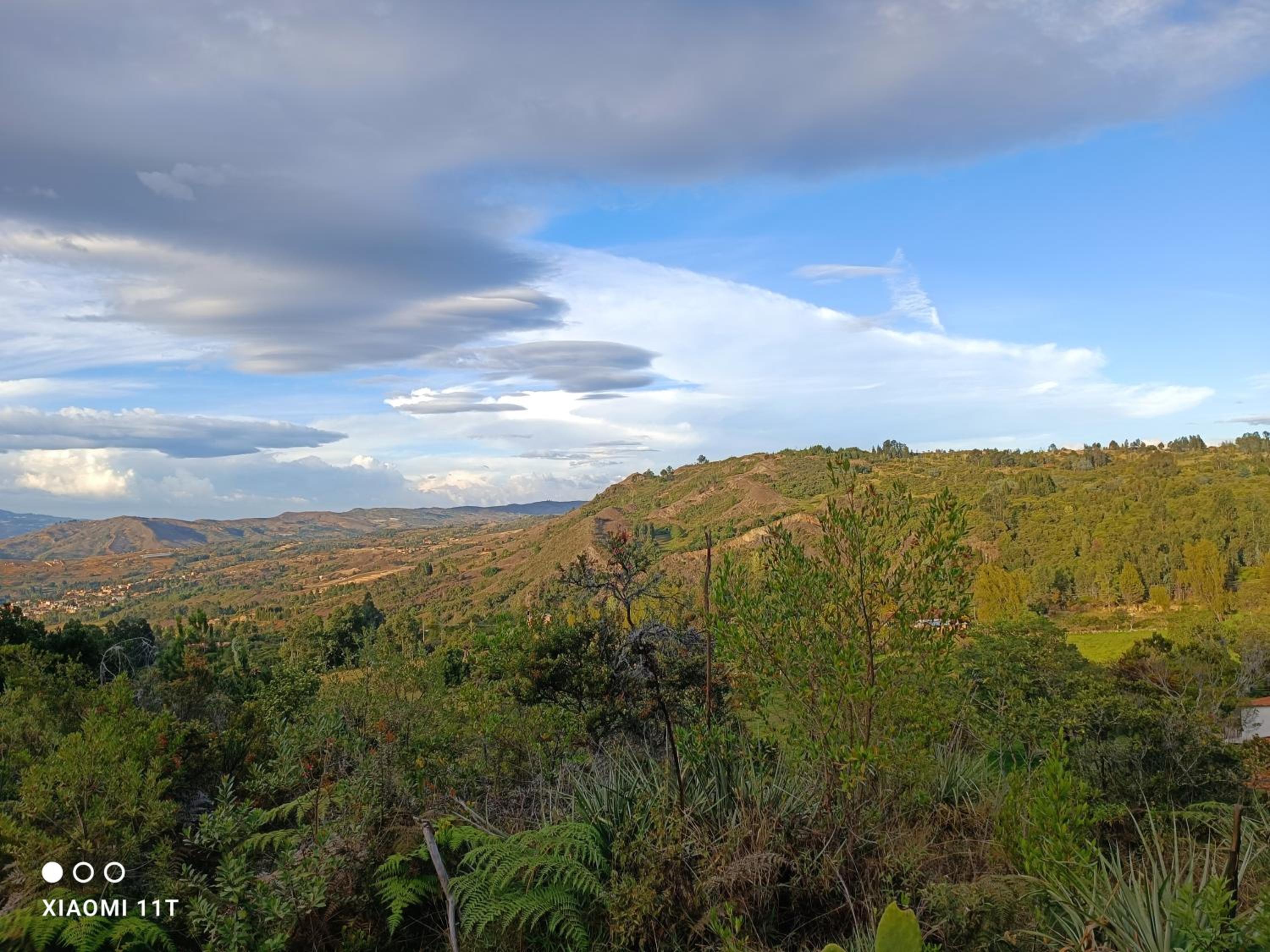 Casa Campestre Buenavista, espacio natural
