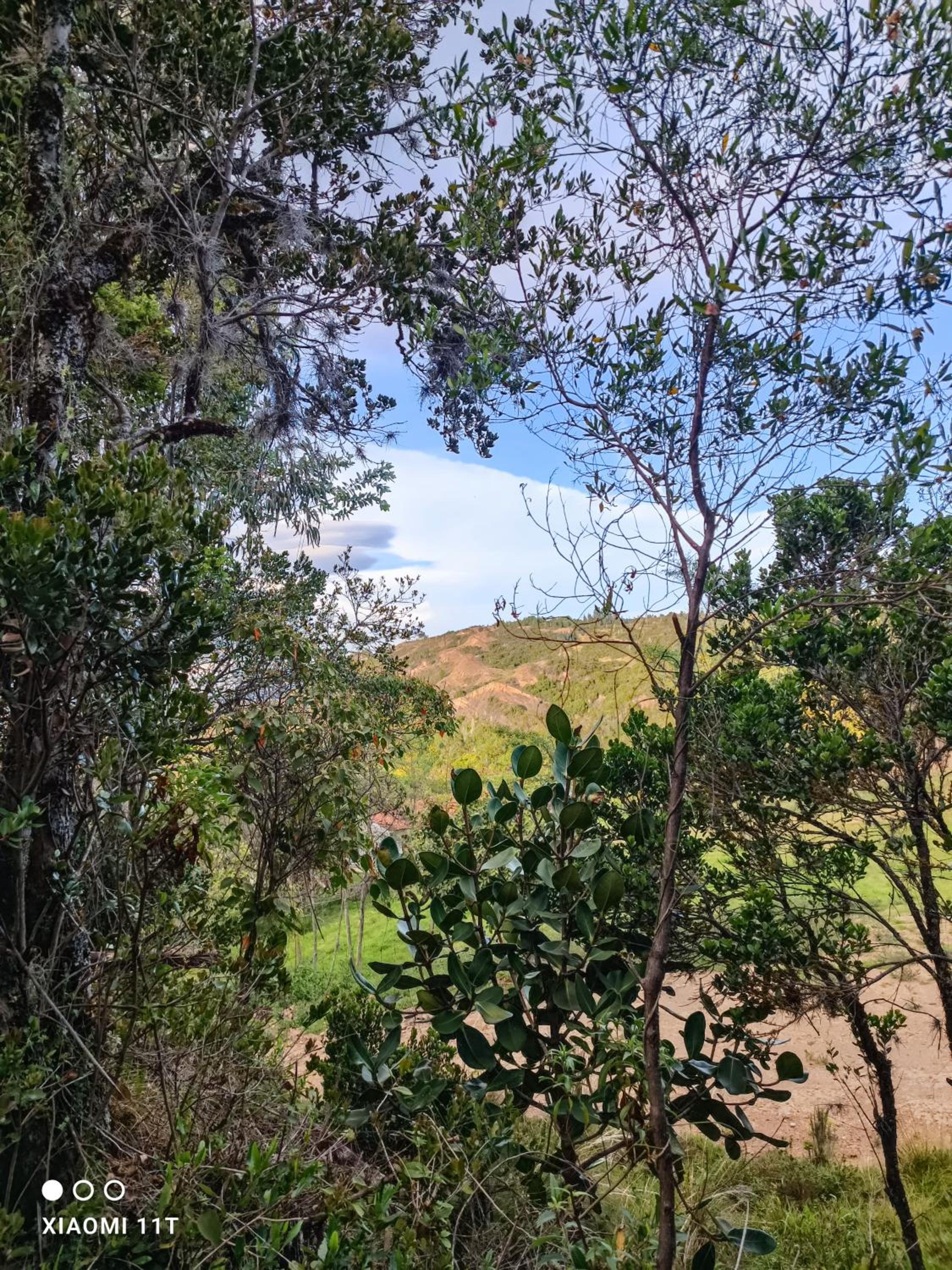 Casa Campestre Buenavista, espacio natural
