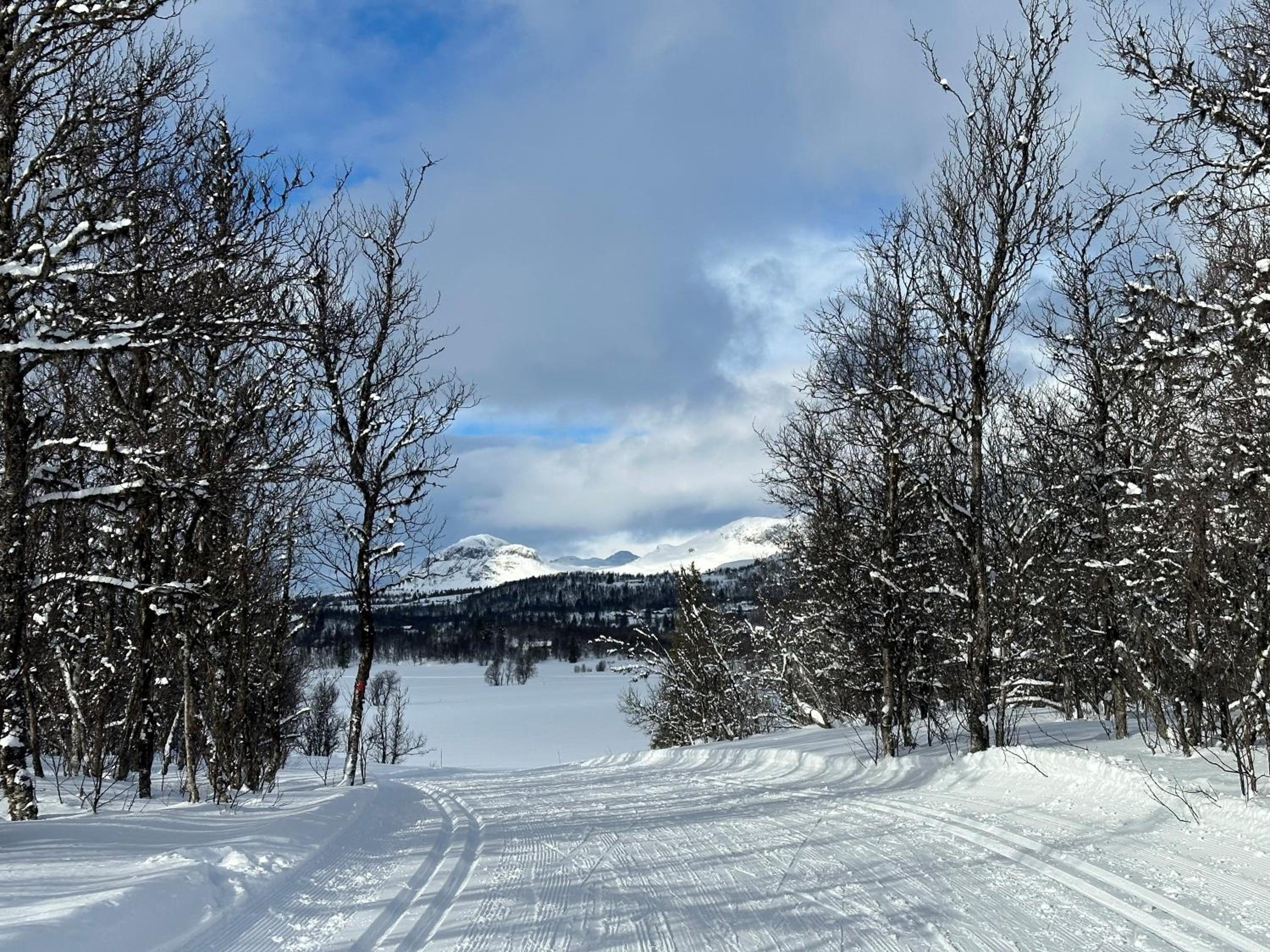 Kinnkosen - cabin with panoramic view for 6 persons view 3