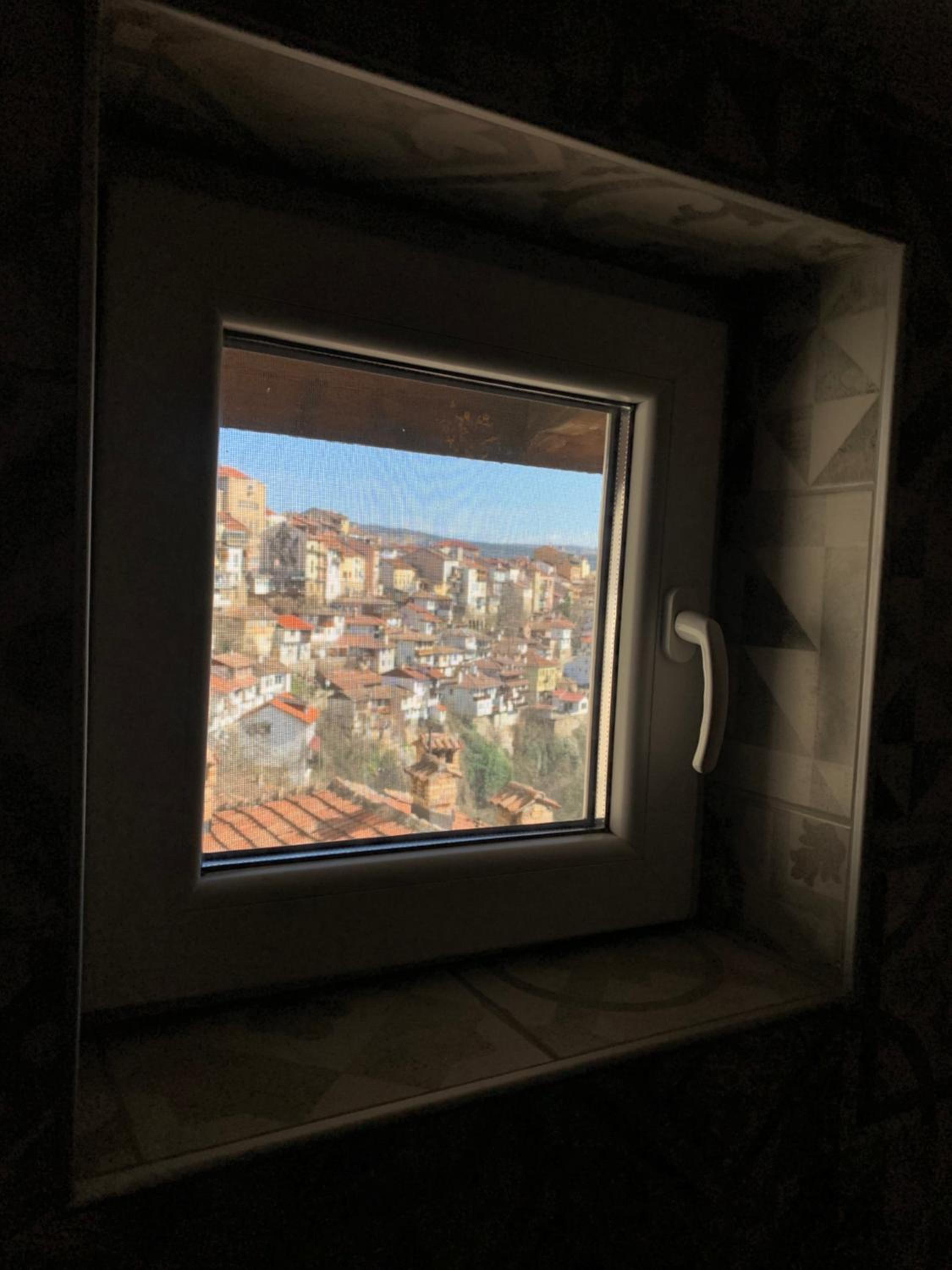 Romantic view Asenevtsi