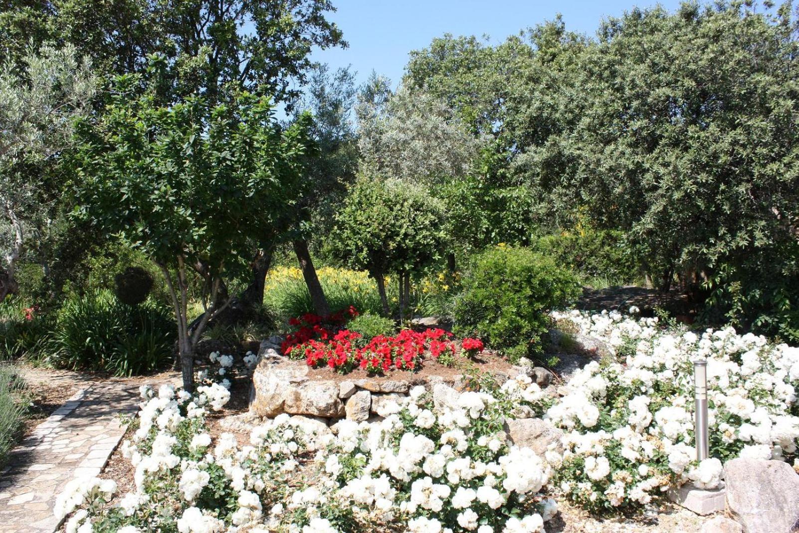 Villa Golf Marina