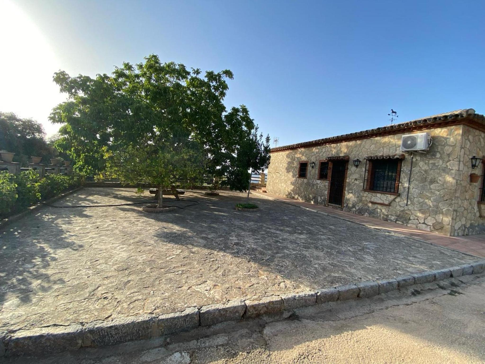 Finca olivar el pino