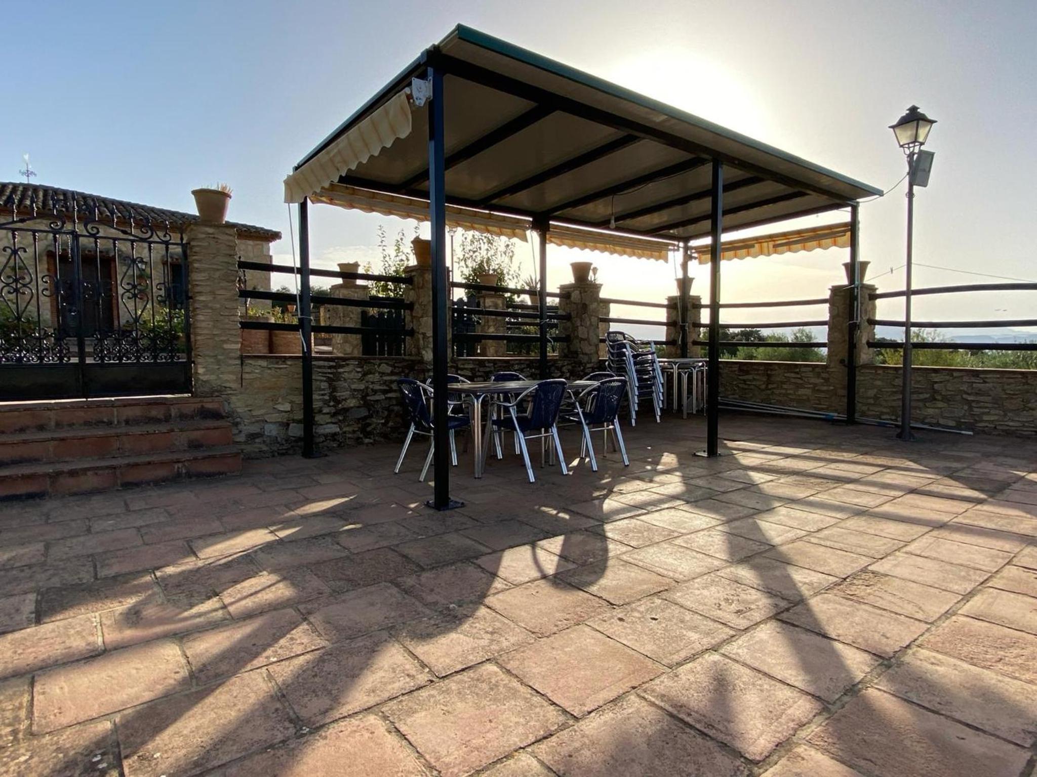 Finca olivar el pino