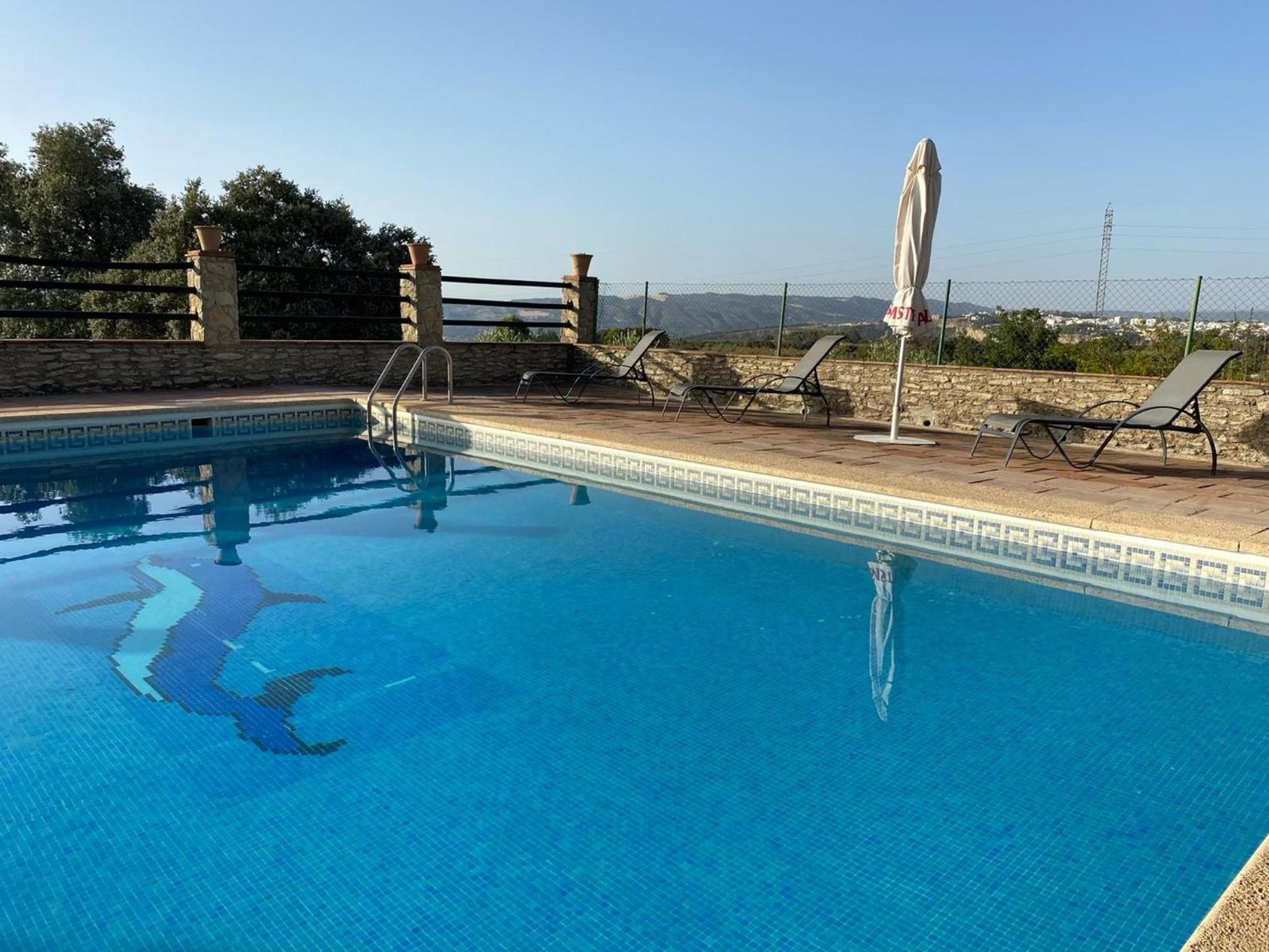 Finca olivar el pino