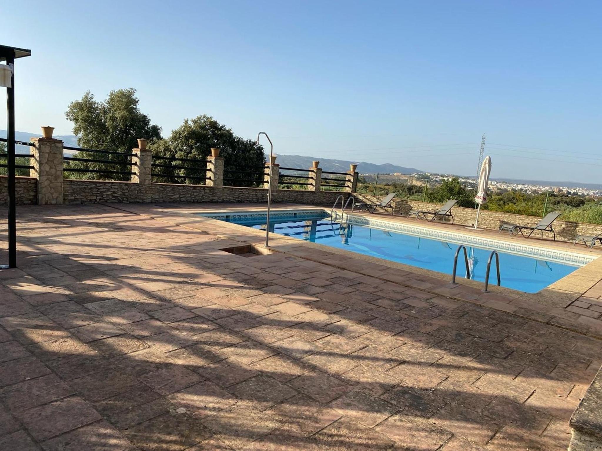 Finca olivar el pino