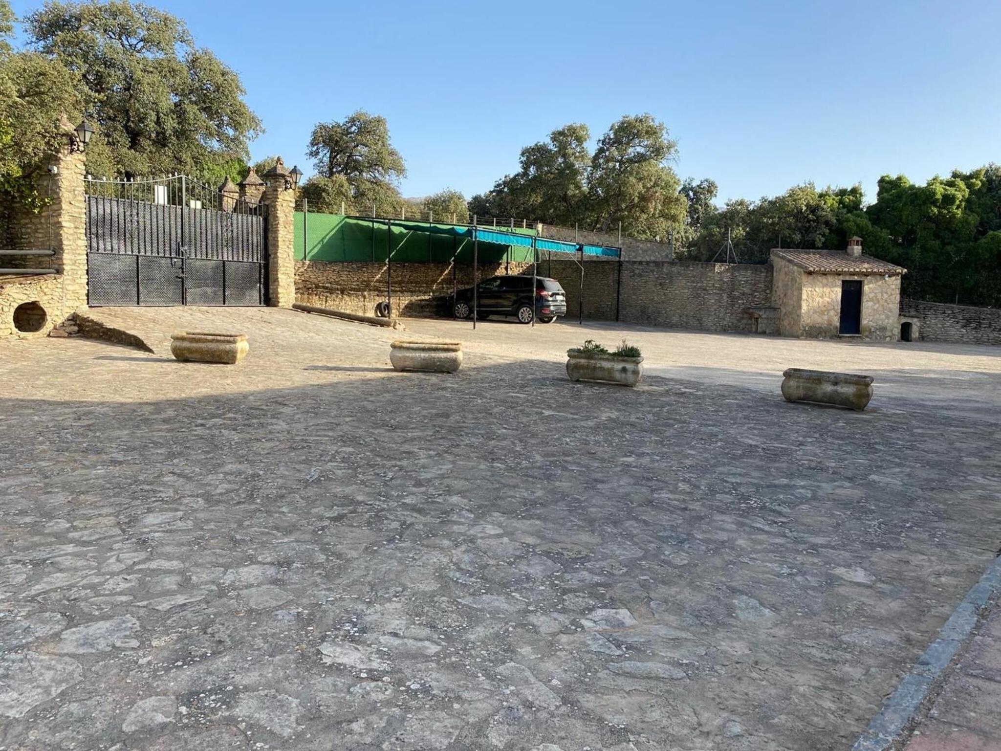 Finca olivar el pino