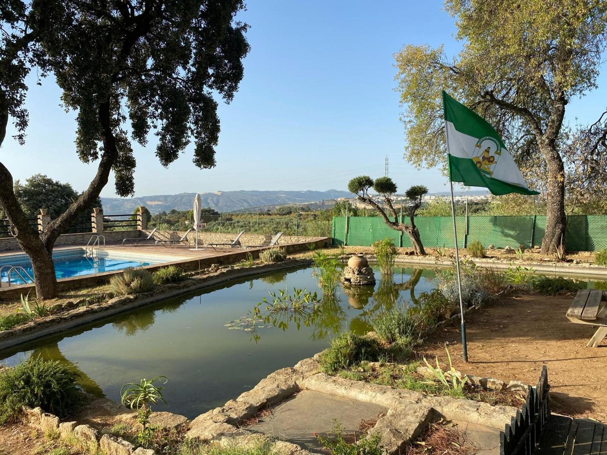Finca olivar el pino