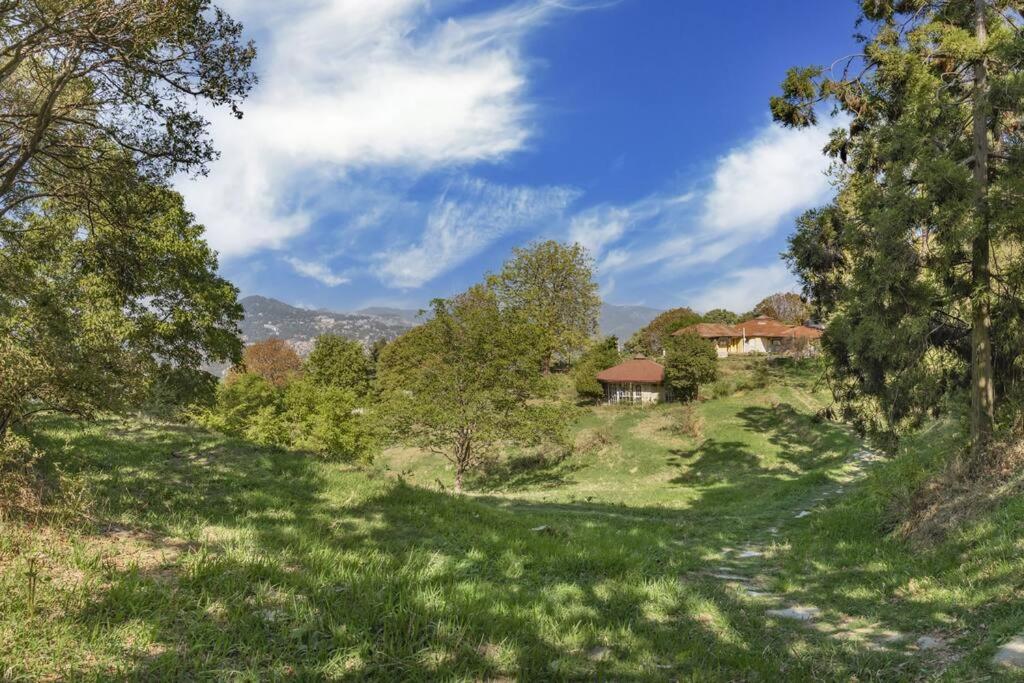 Casalini Estate