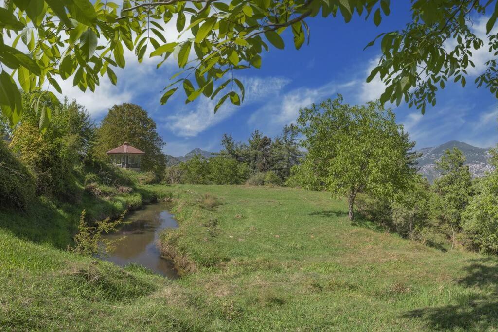 Casalini Estate
