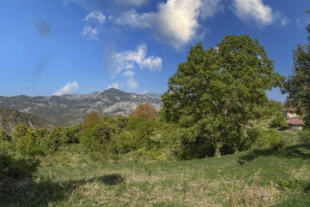 Casalini Estate