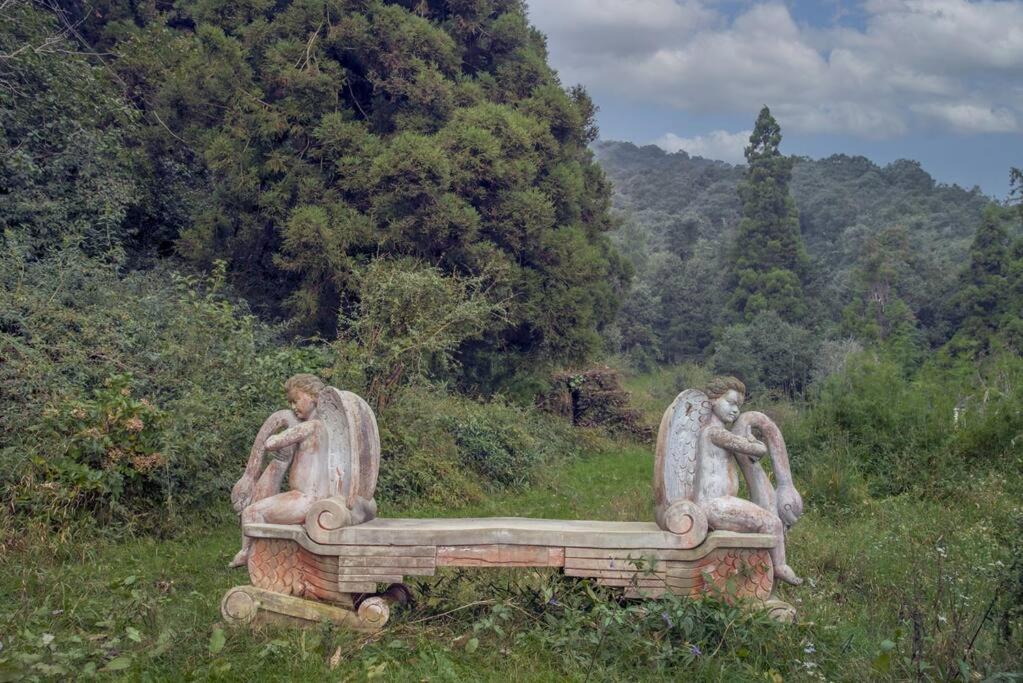 Casalini Estate