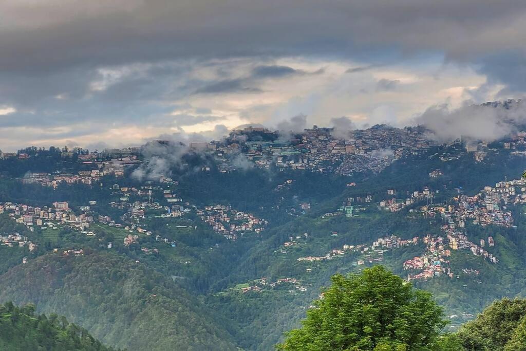 Casalini Estate