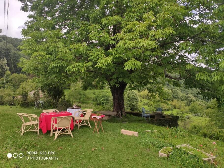 Casalini Estate