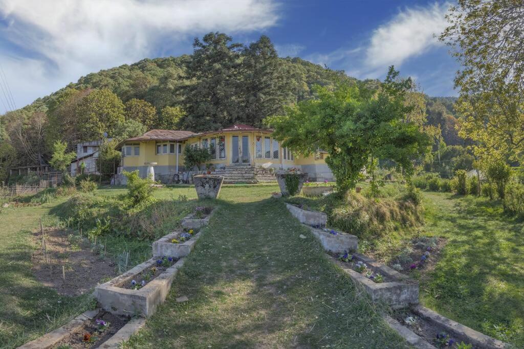 Casalini Estate