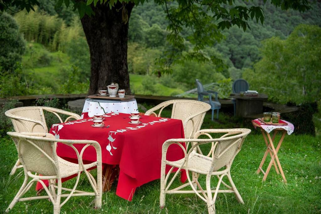 Casalini Estate