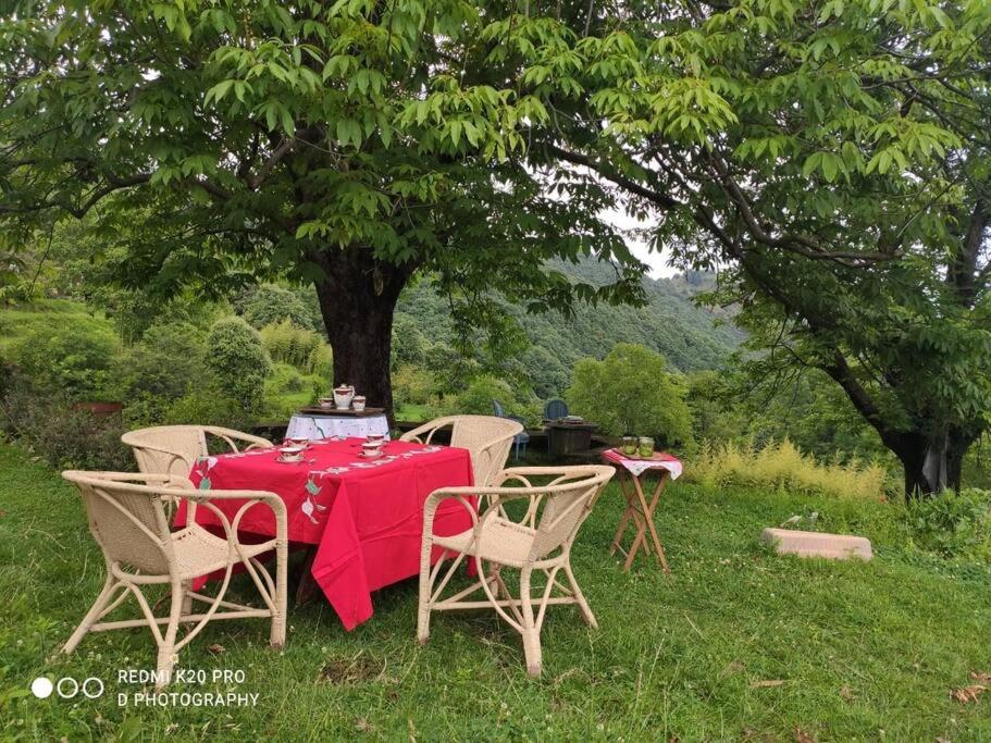 Casalini Estate