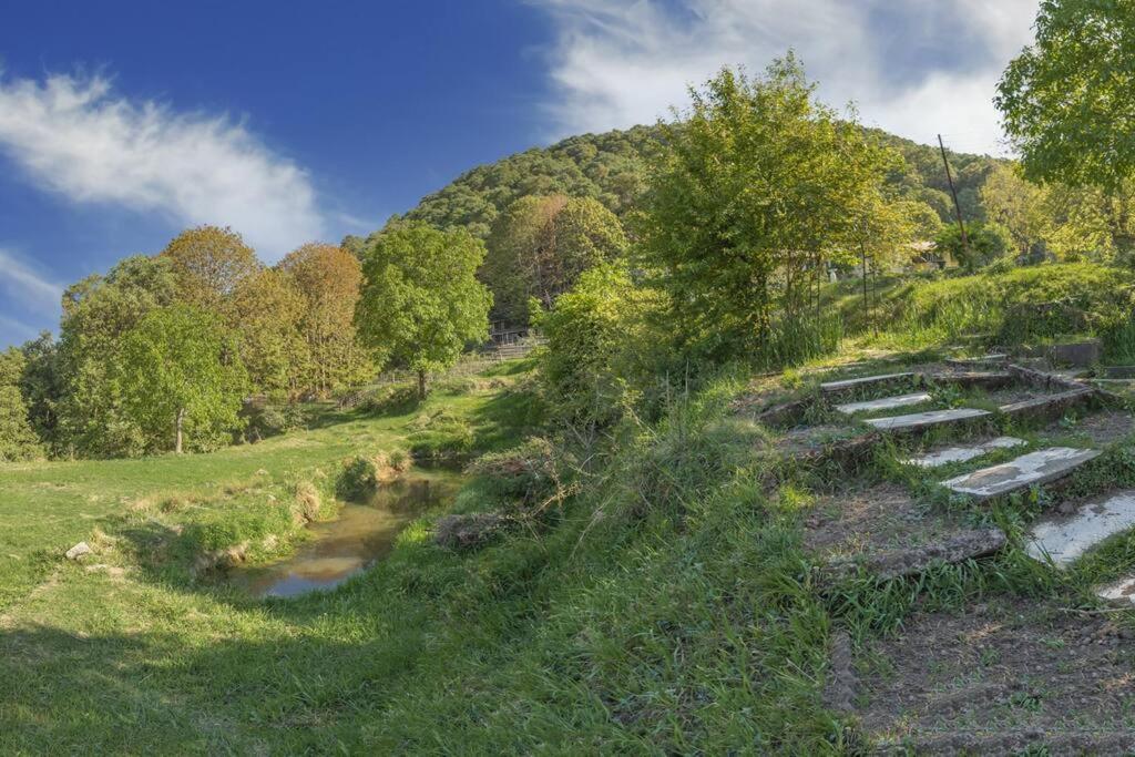 Casalini Estate