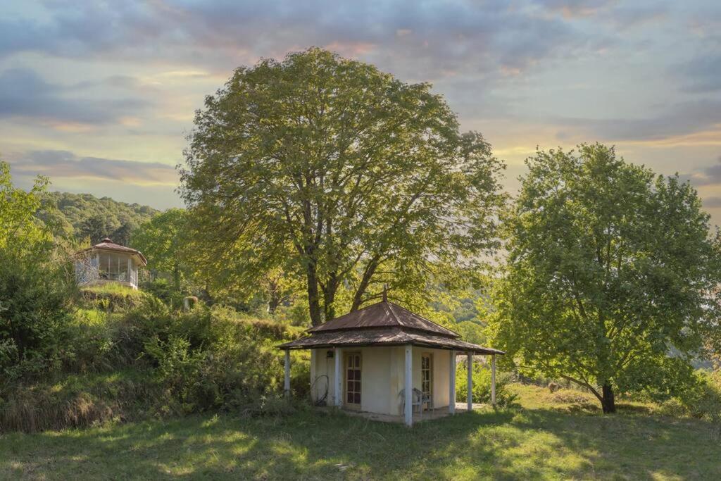 Casalini Estate