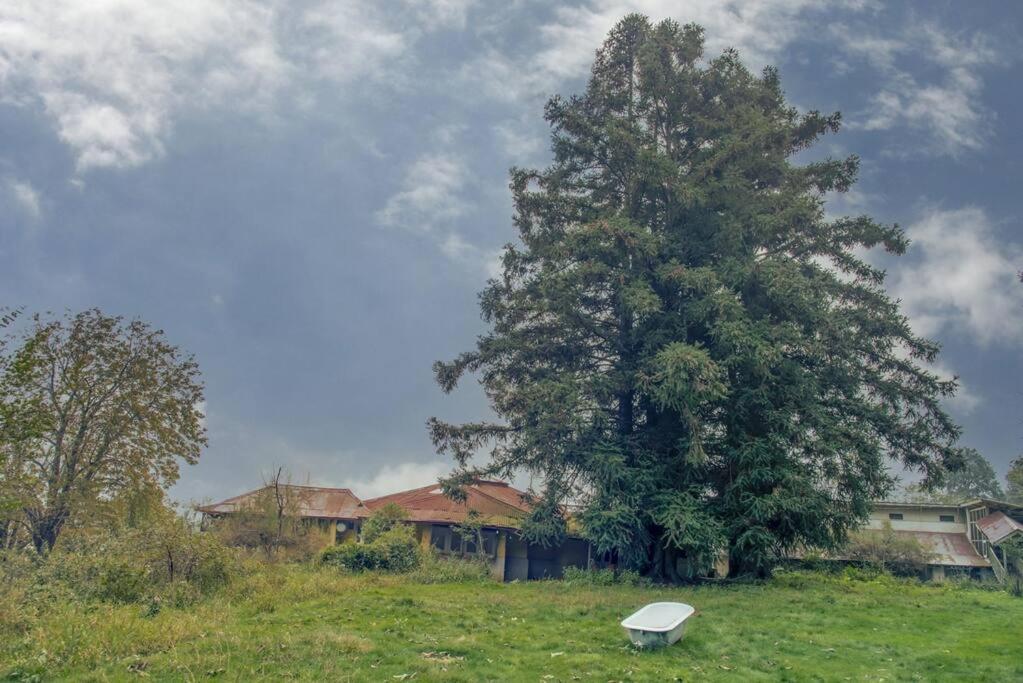Casalini Estate